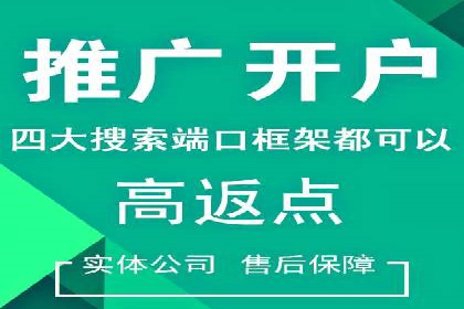 案例分析：打造高效竞价推广策略